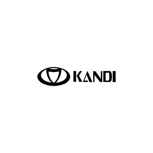 Kandi Technologies Group
