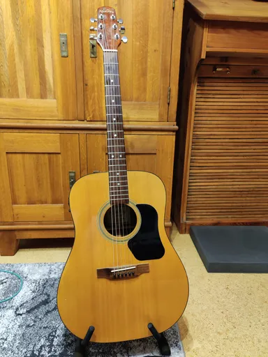 Acoustic guitar