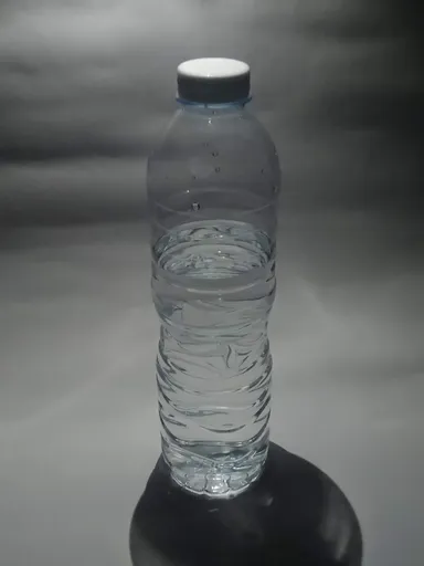 Bottle of water (1 L)
