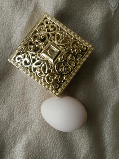 Chicken egg