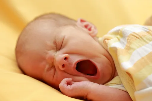 Newborn baby