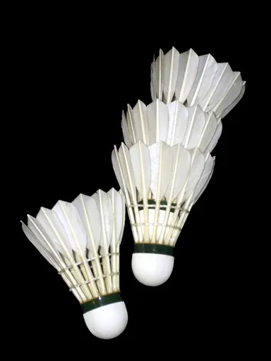 Shuttlecock
