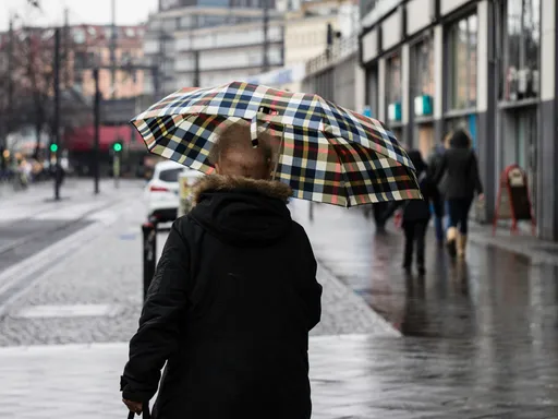 Umbrella
