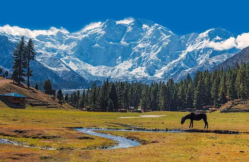 Nanga Parbat