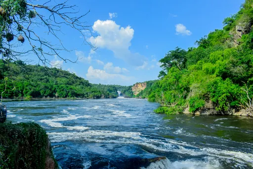 Nile