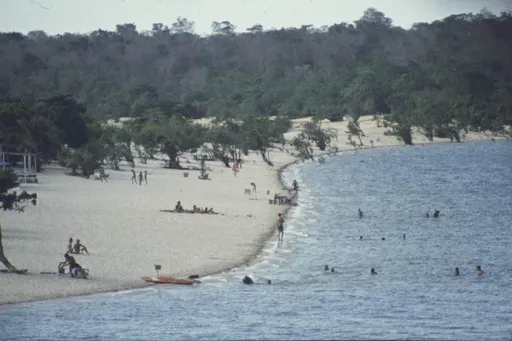 Purús