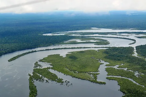 Amazon rainforest