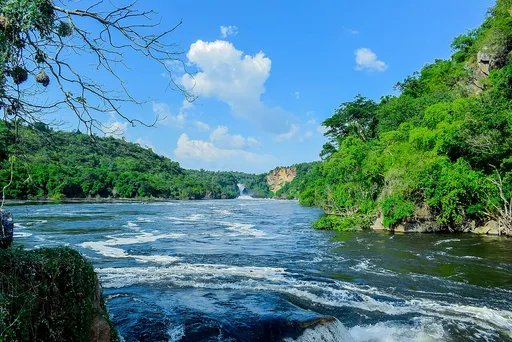 Nile