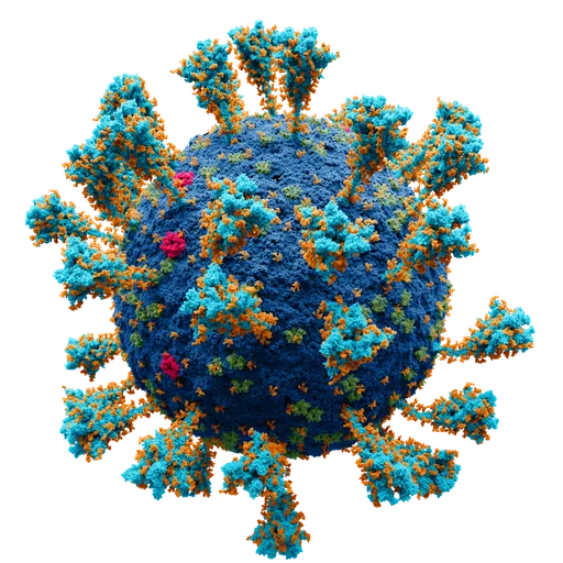 Virus